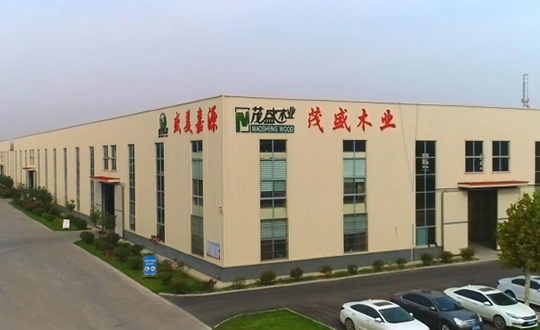 关于茂盛木业